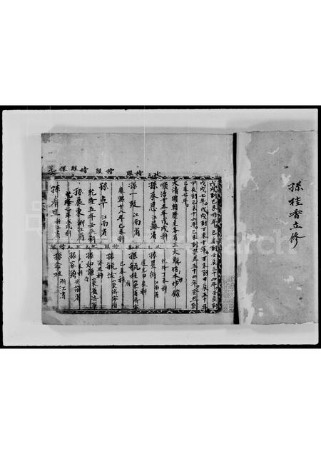 广东孙氏族谱-孙氏族谱 _ 忠埧.pdf电子版插图3
