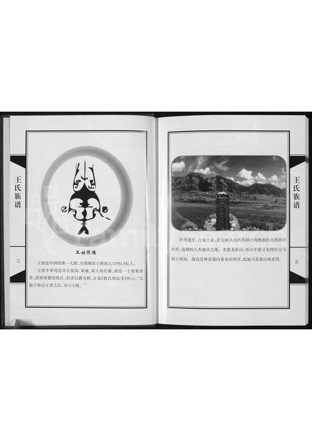 河南王氏族谱-临淇厚朴王氏族谱.pdf电子版插图3
