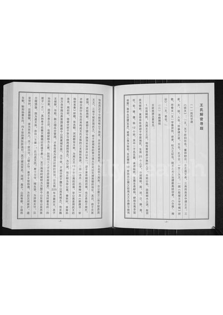 河南王氏族谱-王氏族谱 _ 长垣县蒲西区菜北村.pdf电子版插图3