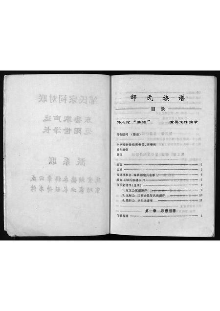 广东未知族谱-邹氏族谱.pdf电子版插图3