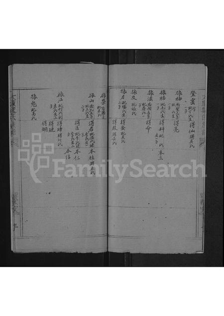 河南魏氏族谱-魏氏族谱 _ 河南省太康县 [存2卷].pdf电子版插图3