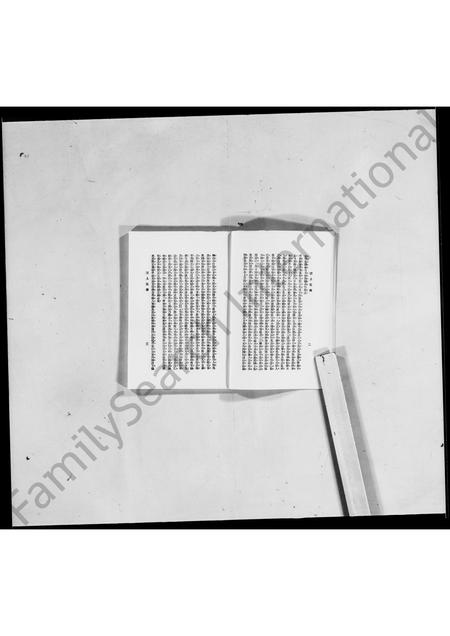 河南袁氏族谱-洹上私乘 _ 袁世凯家谱 [7卷].pdf电子版插图3