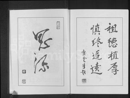 河南崔氏族谱-崔氏族谱.pdf电子版插图3