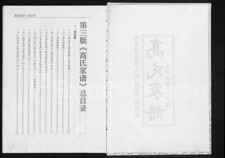 河南高氏族谱-高氏家谱.pdf电子版插图3