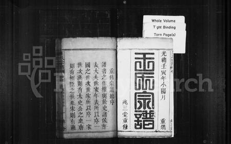 江西、安徽王氏族谱-王氏宗谱 [4卷,及卷首].pdf电子版插图3