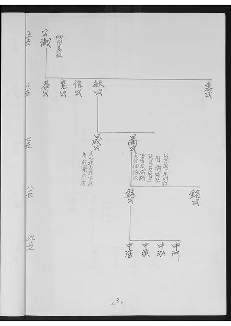 福建黄氏族谱-[黄氏]同安房金柄纶公派下支分文斗安聚公[字驰复]分布支图简录.pdf电子版插图3