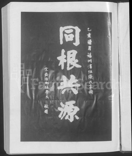 河南张氏族谱-巩义东街张氏谱谍.pdf电子版插图3