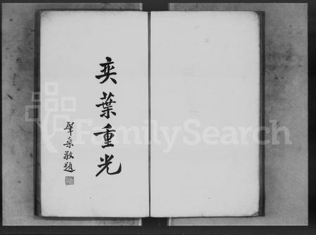 广东陈氏族谱-陈氏族谱.pdf电子版插图3