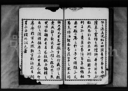广东阮氏族谱-吉隆阮氏家谱.pdf电子版插图3