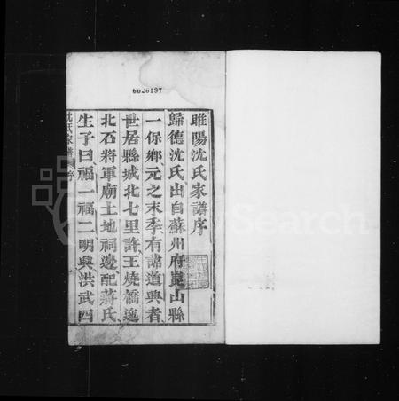 河南沈氏族谱-睢阳沈氏家谱.pdf电子版插图3