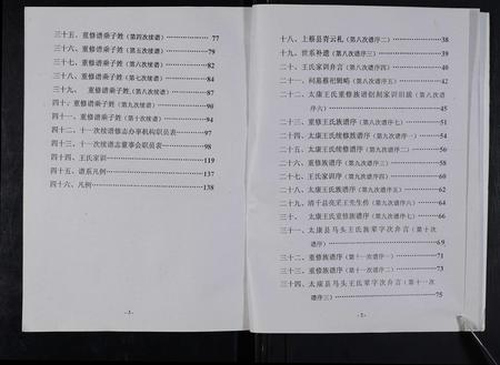 河南王氏族谱-太康马头王氏族谱 [不标卷数].pdf电子版插图3