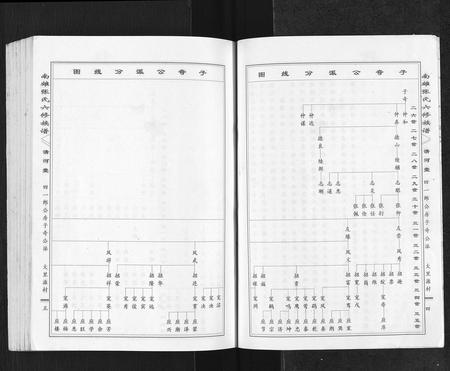 广东张氏族谱-南雄张氏六修族谱[不分卷].pdf电子版插图3