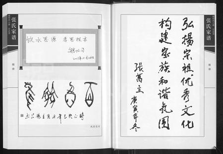 河南张氏族谱-张氏家谱 _ 河南偃师西小寨百忍堂.pdf电子版插图3