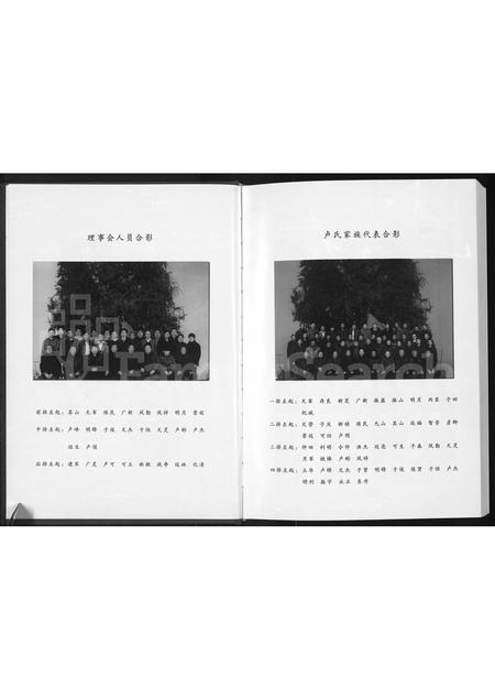 河南卢氏族谱-沈丘卢氏族谱 _ 沙北分支.pdf电子版插图3