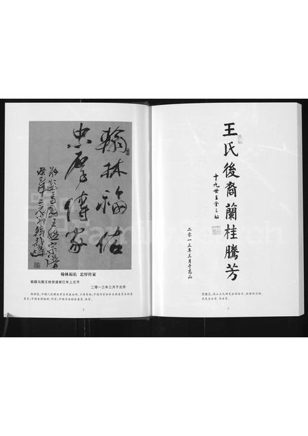 河南王氏族谱-马圈王谱 _ 荥阳高山王氏支系.pdf电子版插图3