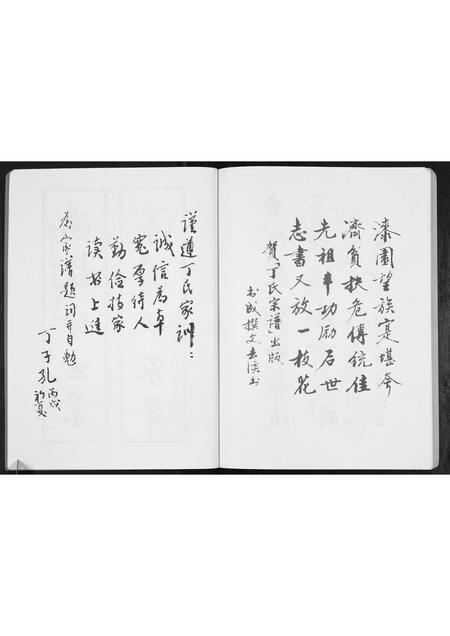 安徽丁氏族谱-丁氏宗谱[不分卷].pdf电子版插图3