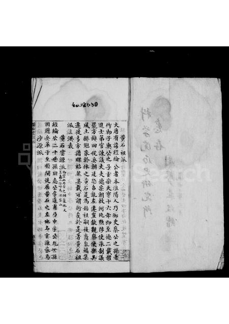 安徽洪氏族谱-洪氏系谱.pdf电子版插图3