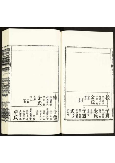 安徽贾氏族谱-贾氏宗谱.pdf电子版插图3
