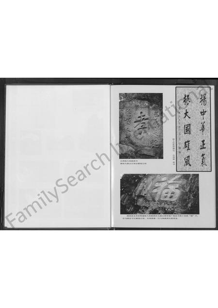 福建陈氏族谱-厦门陈氏 [不分卷].pdf电子版插图3