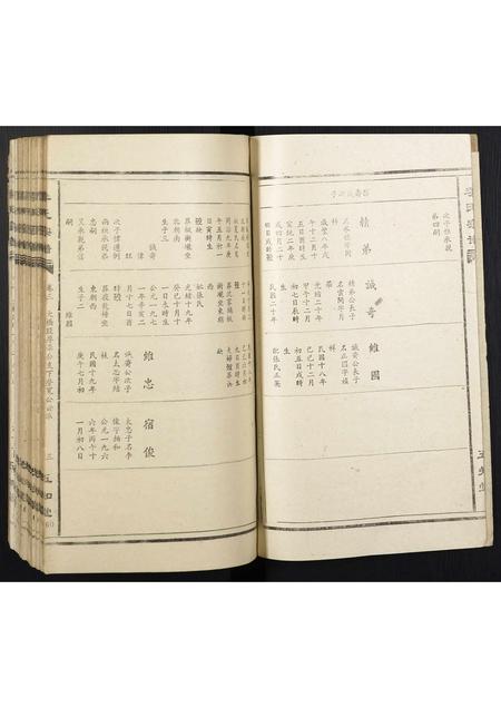 安徽李氏族谱-李氏宗谱.pdf电子版插图3