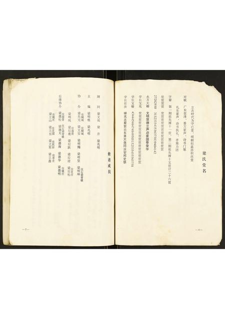 安徽梁氏族谱-梁氏家谱.pdf电子版插图3