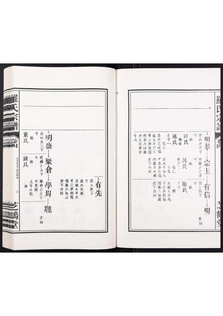 安徽罗氏族谱-罗氏宗谱[4卷].pdf电子版插图3