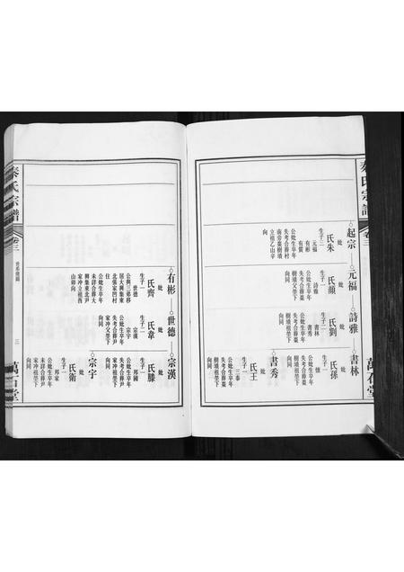 安徽秦氏族谱-秦氏宗谱.pdf电子版插图3