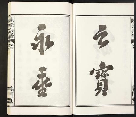 安徽陈氏族谱-陈氏宗谱.pdf电子版插图3