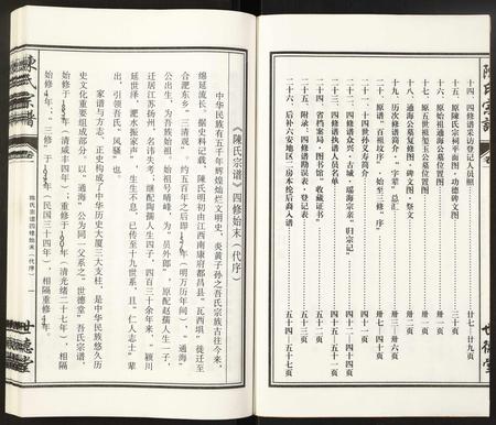 安徽陈氏族谱-陈氏宗谱.pdf电子版插图3
