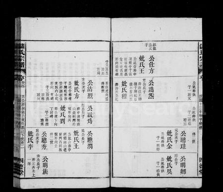 安徽储氏族谱-储氏宗谱 [2卷].pdf电子版插图3