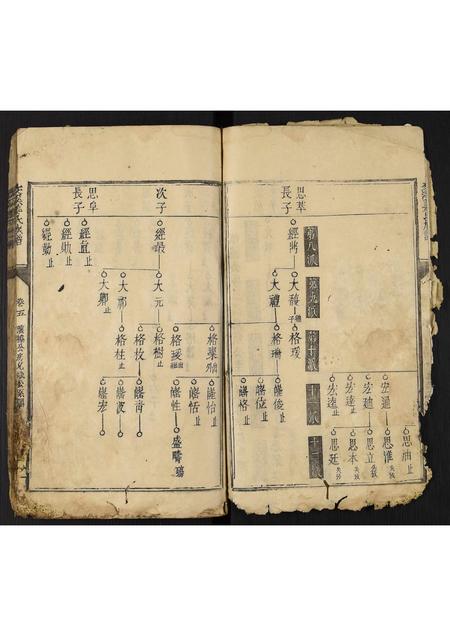 福建姜氏族谱-交溪姜氏族谱.pdf电子版插图3