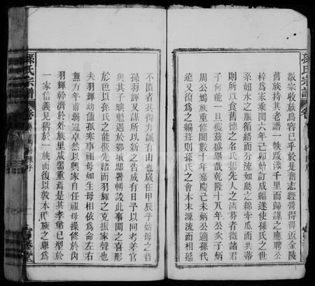 安徽孙氏族谱-孙氏宗谱 [22卷,首末各1卷].pdf电子版插图3