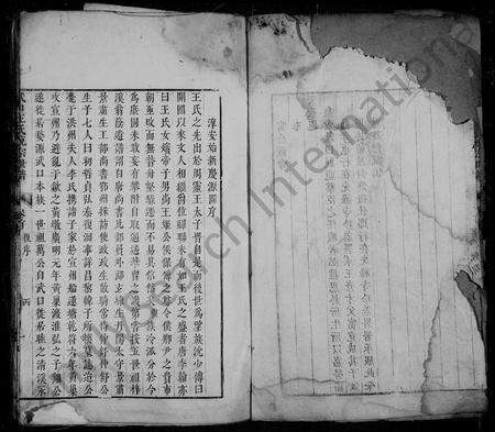 安徽王氏族谱-武口王氏统宗世谱 [卷数杂异].pdf电子版插图3