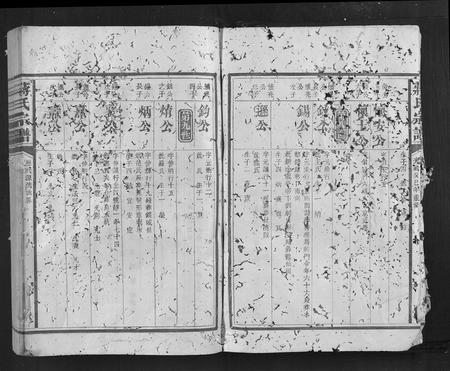 福建蒋氏族谱-蒋氏宗谱.pdf电子版插图3