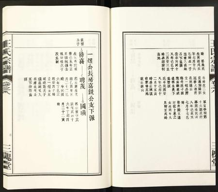 安徽王氏族谱-王氏宗谱.pdf电子版插图3