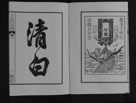 安徽王氏族谱-王氏宗谱[16卷].pdf电子版插图3