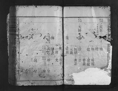 福建蒋氏族谱-蒋氏宗谱.pdf电子版插图3 福建蒋氏族谱-蒋氏宗谱.pdf电子版插图3