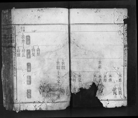 福建蒋氏族谱-蒋氏宗谱.pdf电子版插图3 福建蒋氏族谱-蒋氏宗谱.pdf电子版插图3