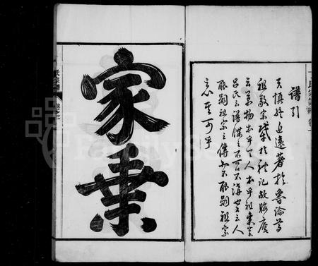安徽丁氏族谱-龙山丁氏族谱 [12卷].pdf电子版插图3