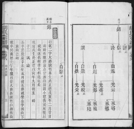 安徽胡氏族谱-胡氏宗谱 [上22卷,下4卷].pdf电子版插图3