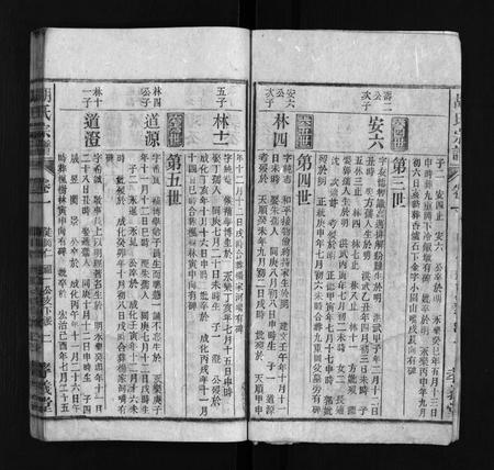 安徽胡氏族谱-胡氏宗谱 [按支分卷].pdf电子版插图3