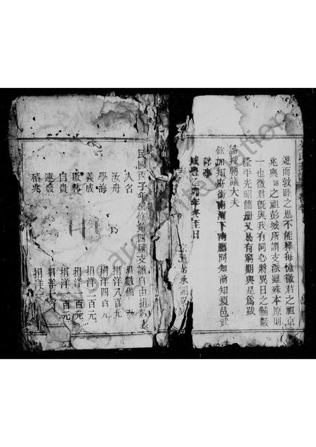 安徽金氏族谱-京兆金氏支谱.pdf电子版插图3