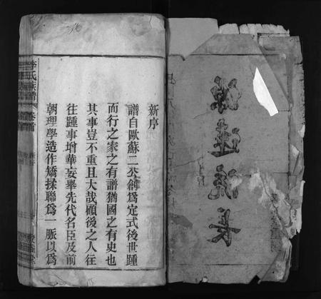 安徽李氏族谱-李氏族谱 [22卷,首1卷,末2卷].pdf电子版插图3