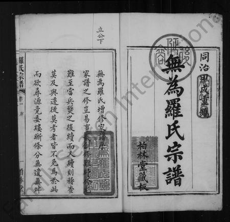安徽罗氏族谱-无为罗氏家谱 [6卷].pdf电子版插图3