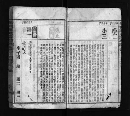 安徽汪氏族谱-古埂汪氏宗谱 [70卷].pdf电子版插图3