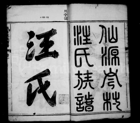 安徽汪氏族谱-仟源岑村汪氏族谱 [10卷].pdf电子版插图3