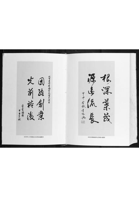 福建李氏族谱-岐峰豸峰厚福李氏谱志.pdf电子版插图3 福建李氏族谱-岐峰豸峰厚福李氏谱志.pdf电子版插图3