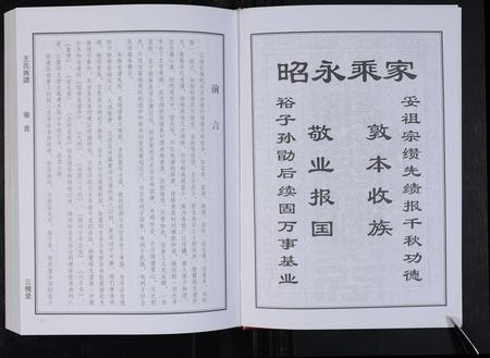 安徽王氏族谱-龙口王氏族谱 [2卷,首1卷].pdf电子版插图3