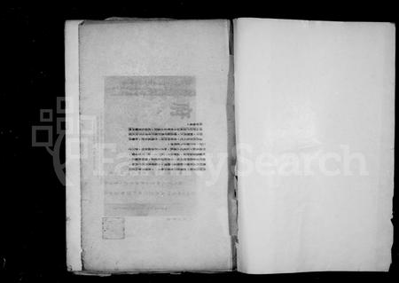 安徽未知族谱-岐阳(李氏)世家文物图像册.pdf电子版插图3