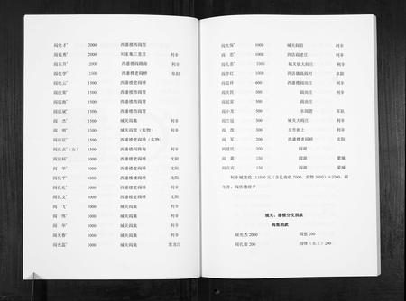 安徽阎氏族谱-阎氏家谱.pdf电子版插图3
